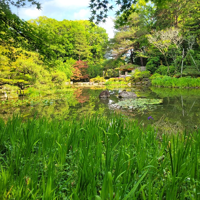f:id:atoriatoriatori:20250623151353j:image