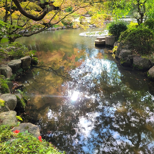 f:id:atoriatoriatori:20250623151401j:image