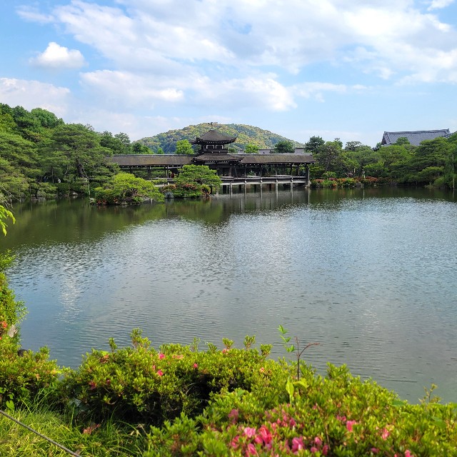 f:id:atoriatoriatori:20250623151725j:image