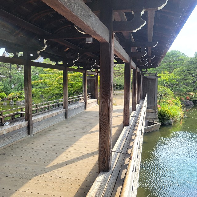 f:id:atoriatoriatori:20250623151734j:image