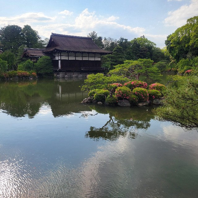 f:id:atoriatoriatori:20250623151741j:image