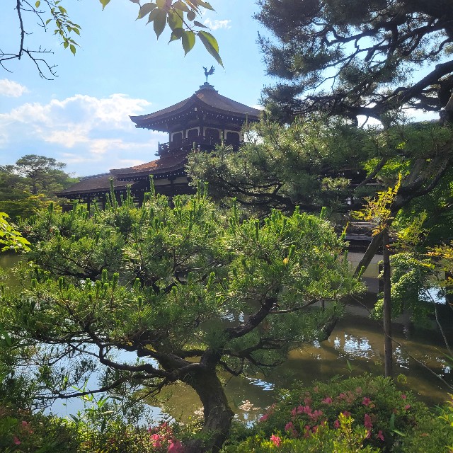 f:id:atoriatoriatori:20250623151957j:image