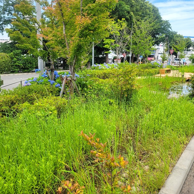 f:id:atoriatoriatori:20250623173917j:image