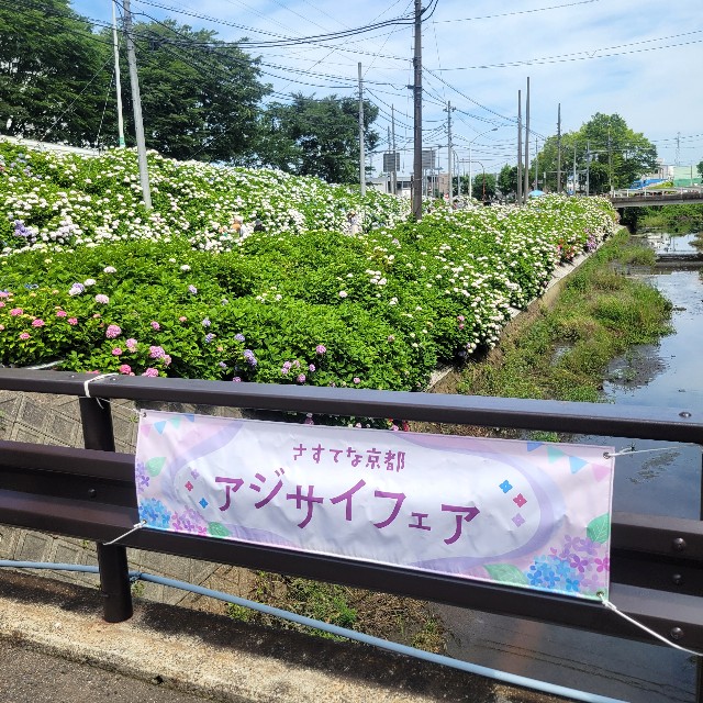 f:id:atoriatoriatori:20250623221405j:image