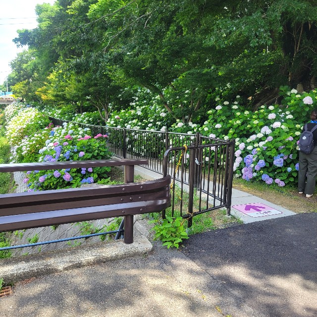 f:id:atoriatoriatori:20250623221430j:image