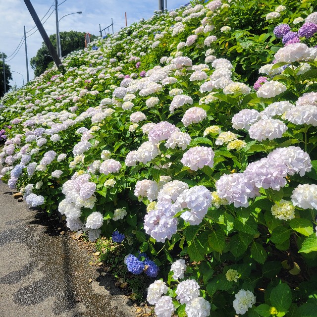 f:id:atoriatoriatori:20250623221438j:image