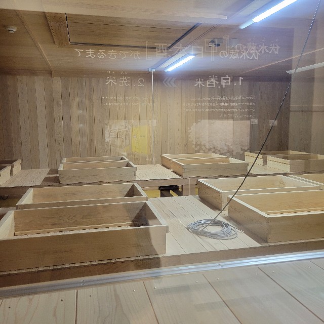 f:id:atoriatoriatori:20250626093550j:image
