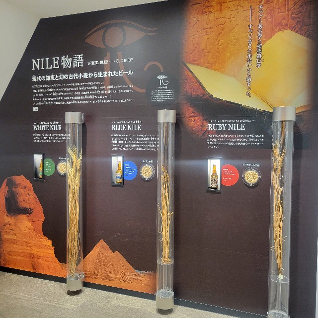 f:id:atoriatoriatori:20250626100629j:image