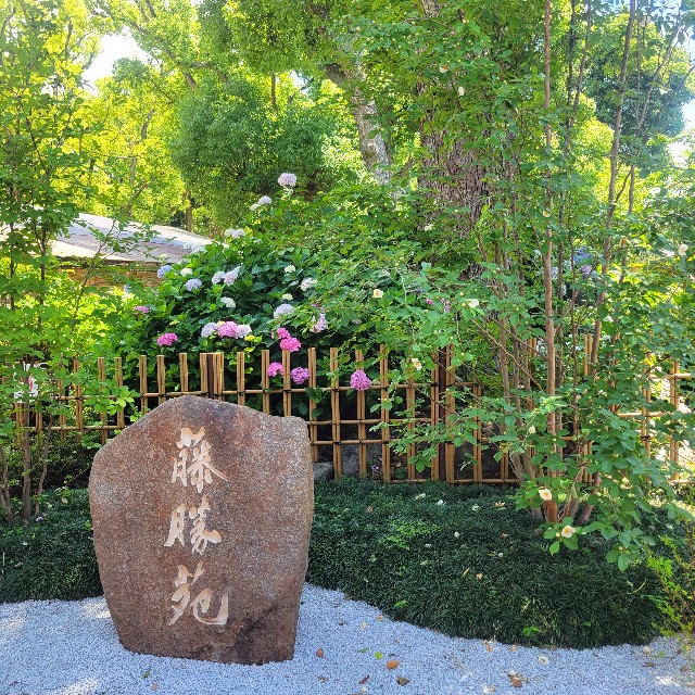 f:id:atoriatoriatori:20250626224809j:image