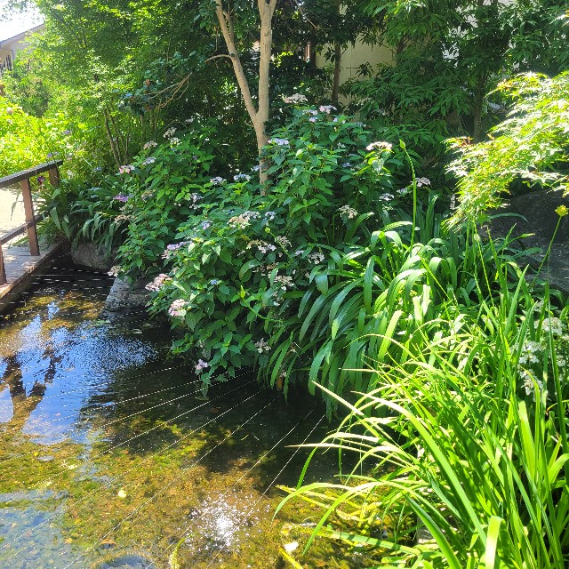 f:id:atoriatoriatori:20250627084509j:image