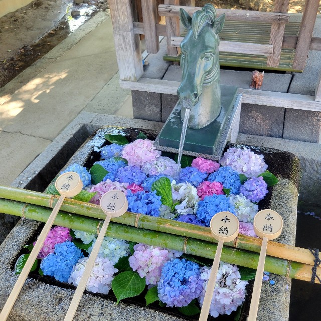 f:id:atoriatoriatori:20250627120821j:image