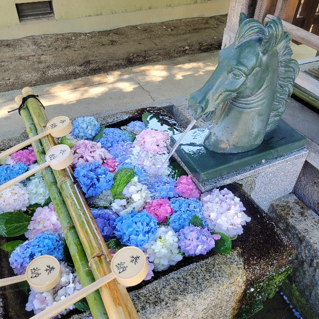 f:id:atoriatoriatori:20250627120836j:image