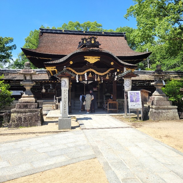 f:id:atoriatoriatori:20250627121325j:image