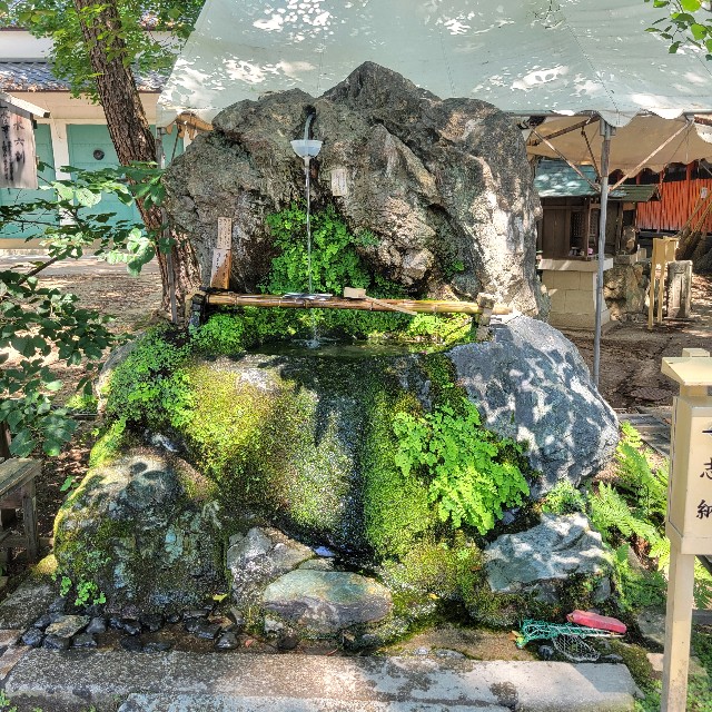 f:id:atoriatoriatori:20250627131135j:image
