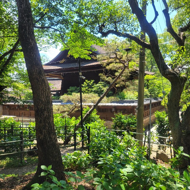 f:id:atoriatoriatori:20250627143538j:image
