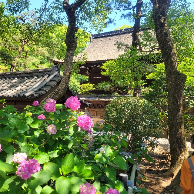 f:id:atoriatoriatori:20250627143859j:image