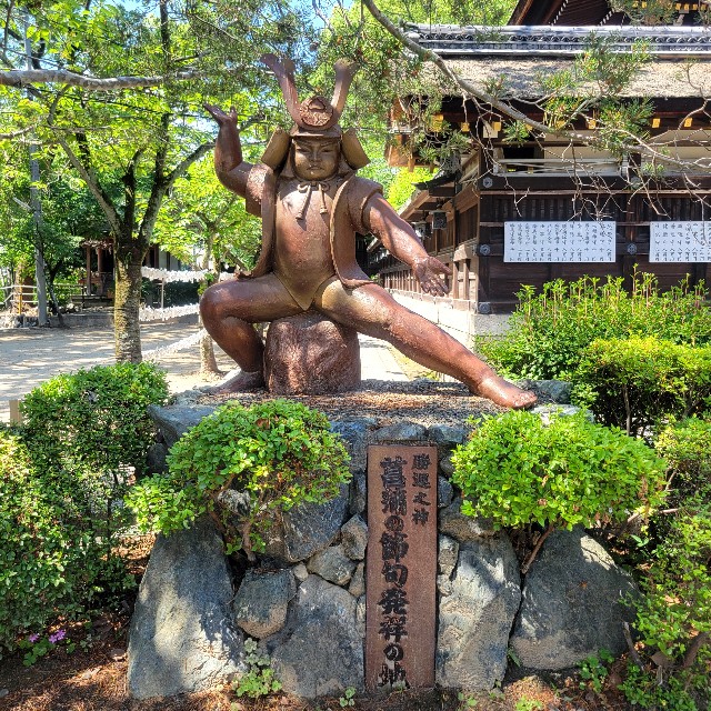 f:id:atoriatoriatori:20250627154219j:image