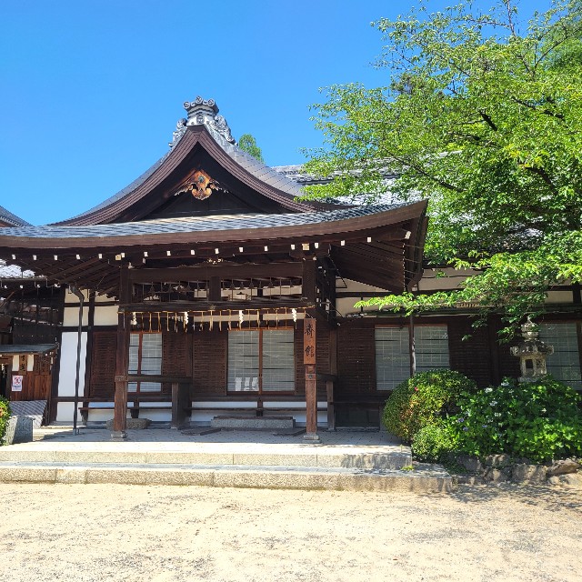 f:id:atoriatoriatori:20250627155938j:image