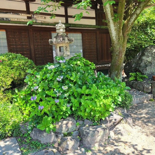 f:id:atoriatoriatori:20250627155946j:image