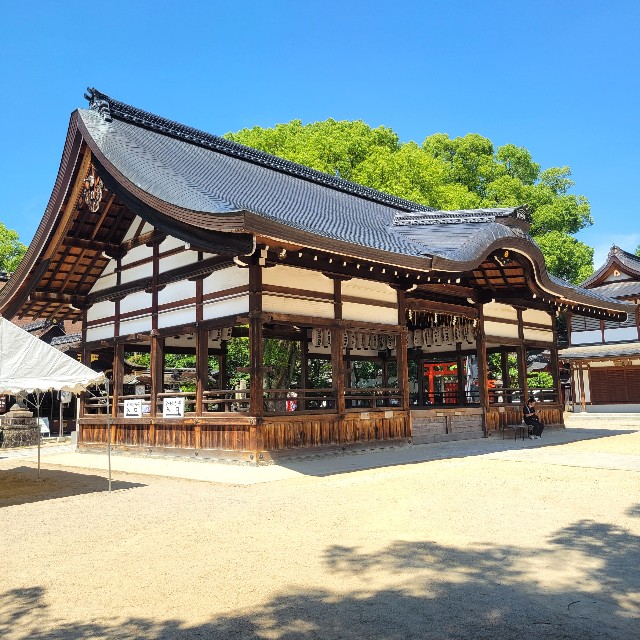 f:id:atoriatoriatori:20250627160016j:image