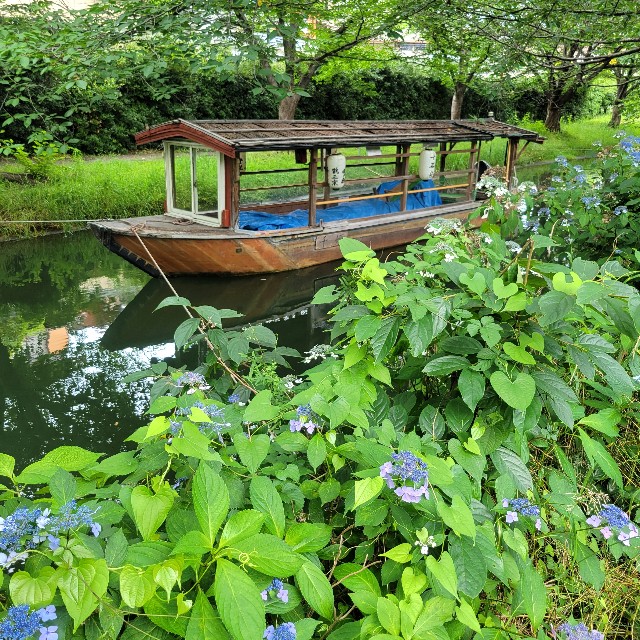 f:id:atoriatoriatori:20250628194457j:image
