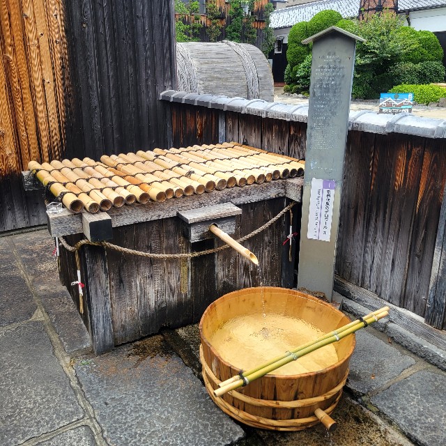 f:id:atoriatoriatori:20250630122445j:image