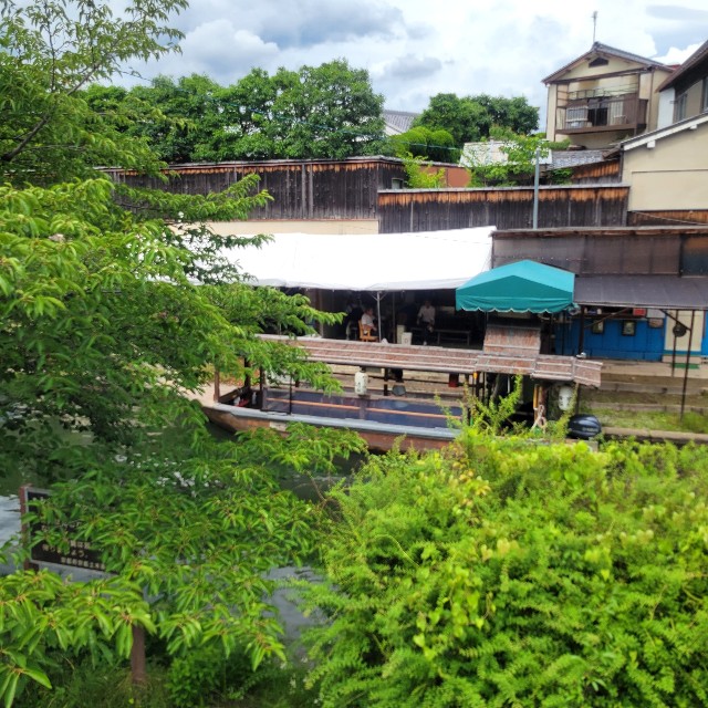 f:id:atoriatoriatori:20250630133245j:image