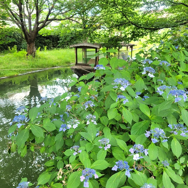 f:id:atoriatoriatori:20250630143405j:image