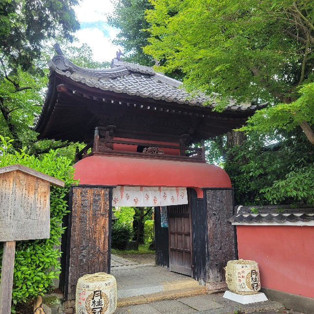 f:id:atoriatoriatori:20250630144221j:image
