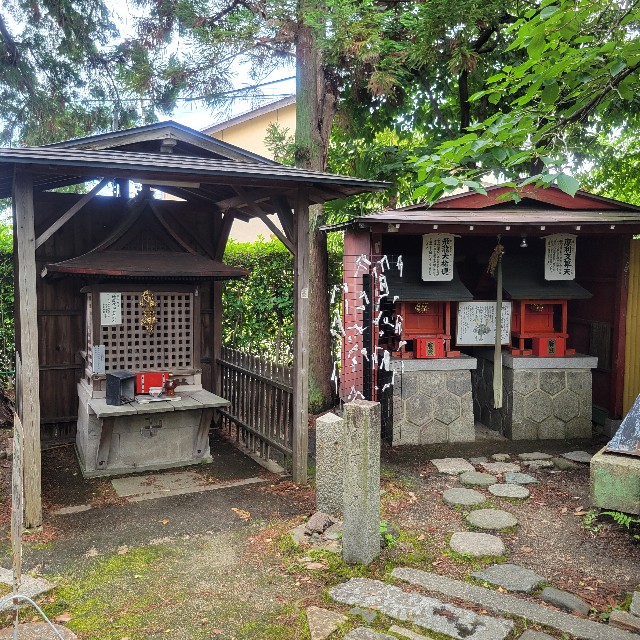 f:id:atoriatoriatori:20250630145738j:image