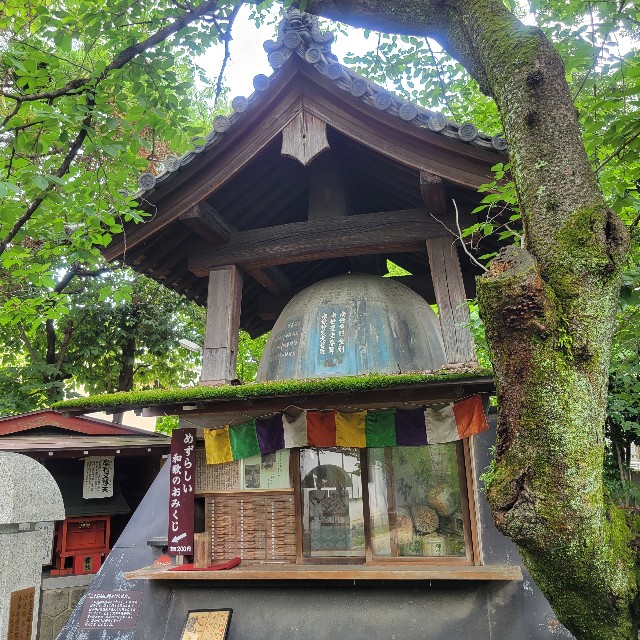 f:id:atoriatoriatori:20250630145746j:image
