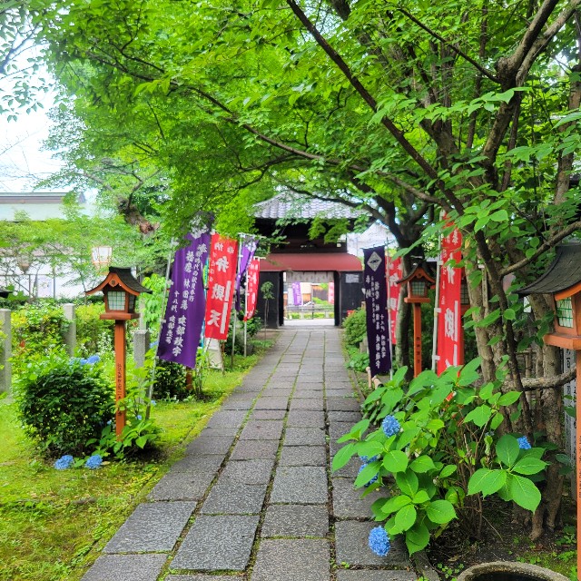 f:id:atoriatoriatori:20250630145754j:image