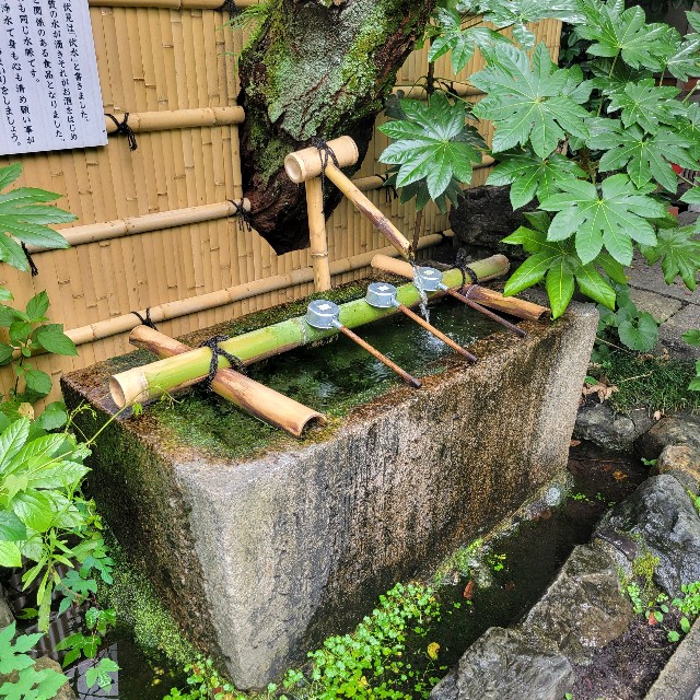f:id:atoriatoriatori:20250630145801j:image
