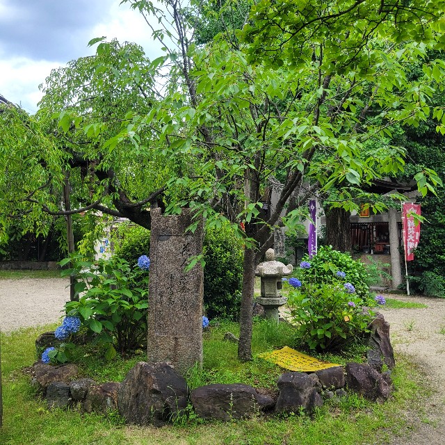 f:id:atoriatoriatori:20250630154239j:image