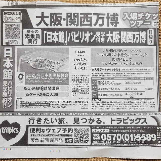 f:id:atoriatoriatori:20250701100524j:image