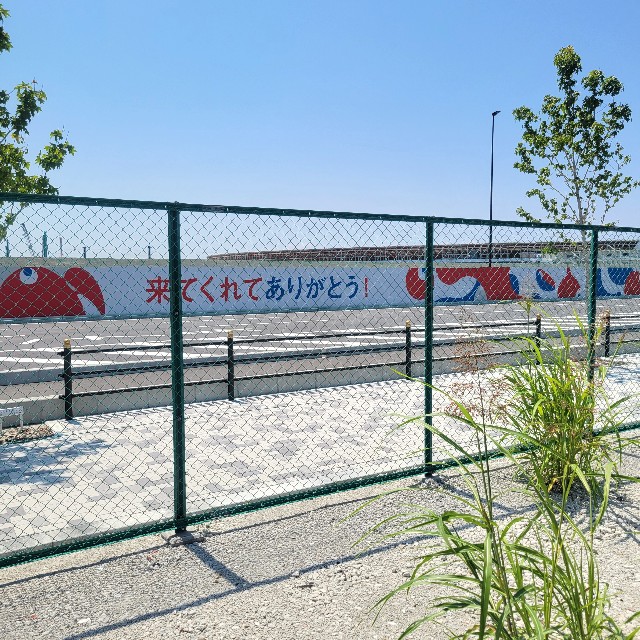 f:id:atoriatoriatori:20250701114230j:image