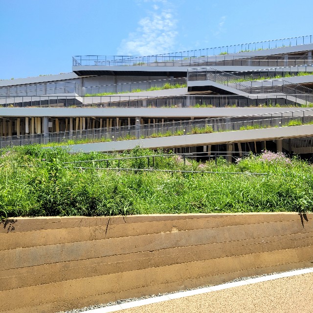 f:id:atoriatoriatori:20250703142248j:image