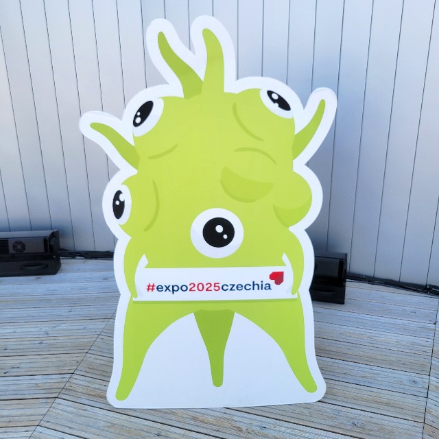 f:id:atoriatoriatori:20250708122245j:image f:id:atoriatoriatori:20250708122245j:image