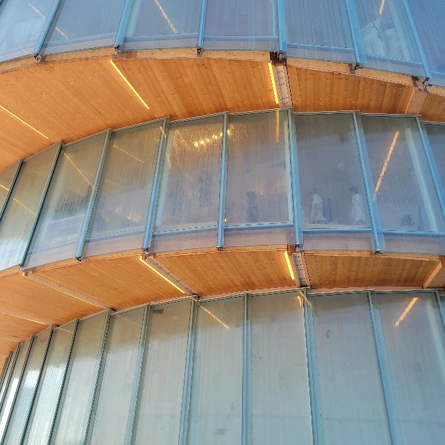 f:id:atoriatoriatori:20250708123056j:image f:id:atoriatoriatori:20250708123056j:image