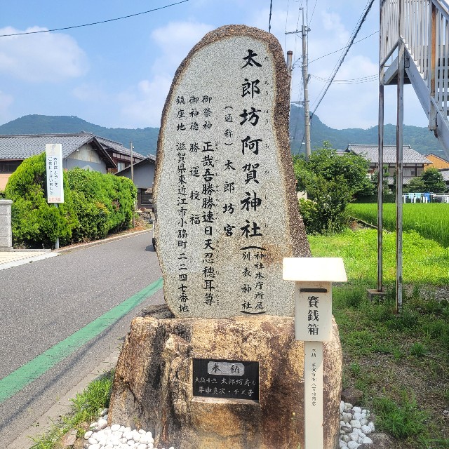 f:id:atoriatoriatori:20250712111337j:image