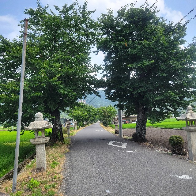 f:id:atoriatoriatori:20250712211821j:image