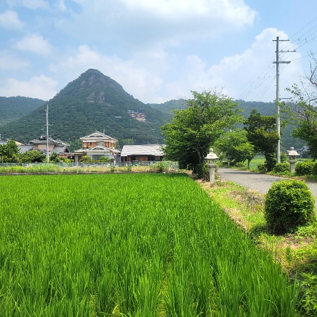 f:id:atoriatoriatori:20250712211854j:image