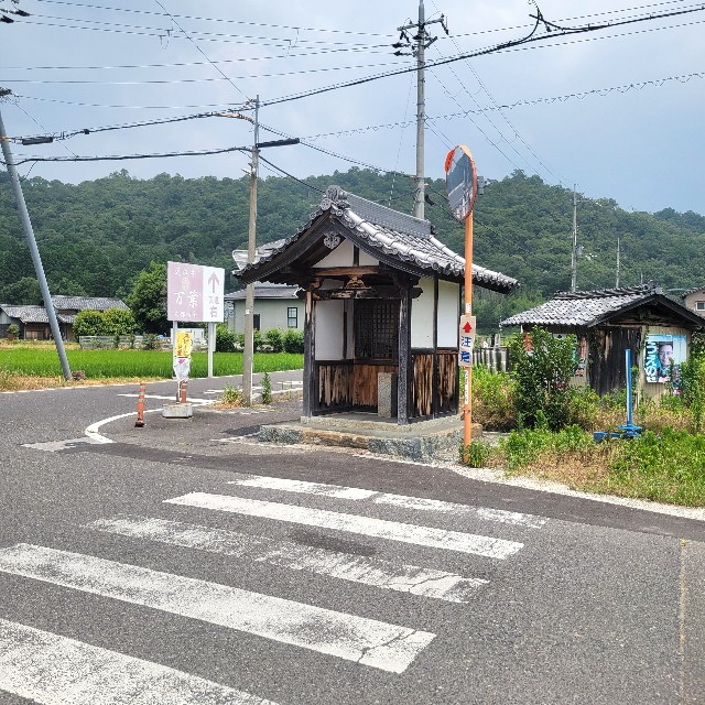 f:id:atoriatoriatori:20250713210610j:image