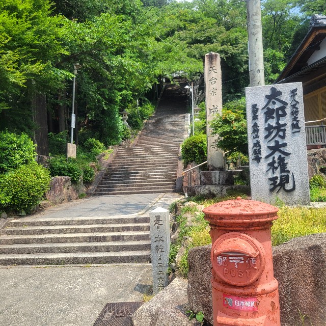 f:id:atoriatoriatori:20250713211142j:image
