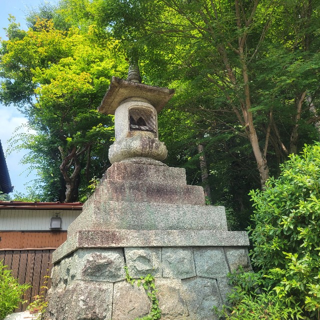 f:id:atoriatoriatori:20250714080728j:image