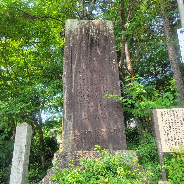 f:id:atoriatoriatori:20250714082858j:image