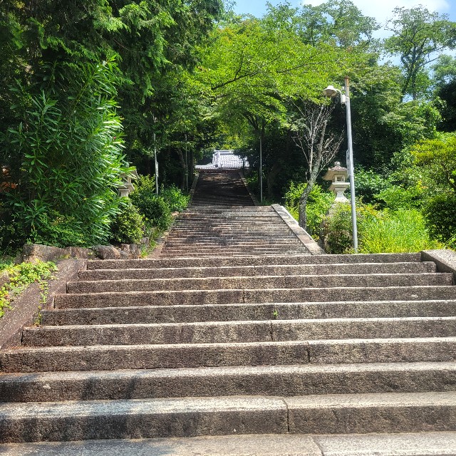 f:id:atoriatoriatori:20250714090859j:image