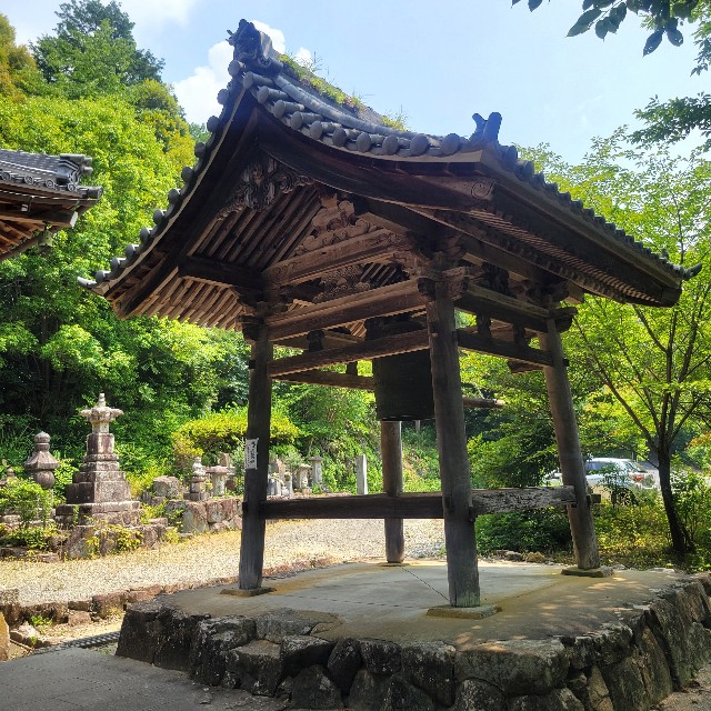 f:id:atoriatoriatori:20250714103727j:image
