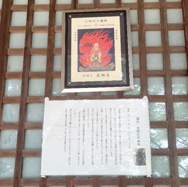 f:id:atoriatoriatori:20250714122458j:image