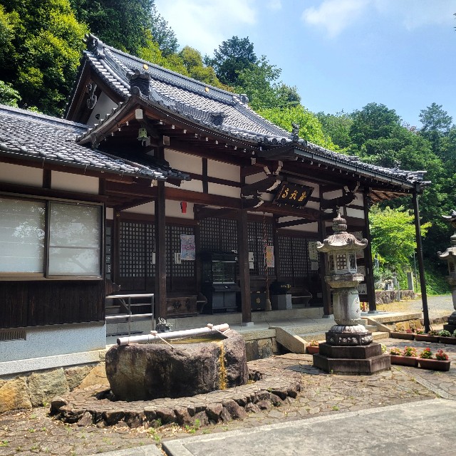 f:id:atoriatoriatori:20250714123617j:image